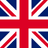 Sarah Lin flag